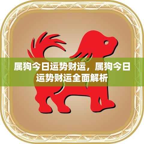属狗今日运势财运详解,全面解析财运走向
