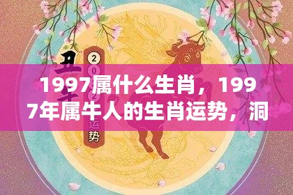 揭秘生肖运势,1997年属牛人的机遇与挑战与命运之轮紧密相连