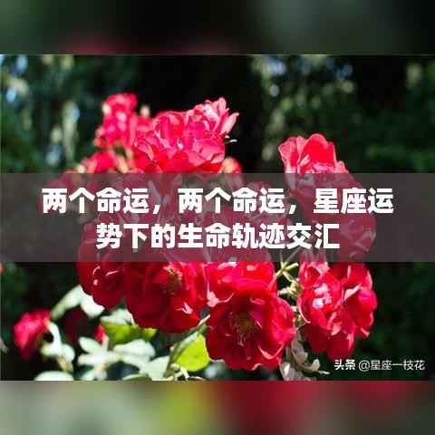 星座运势下的生命轨迹交汇,两命运的交汇点