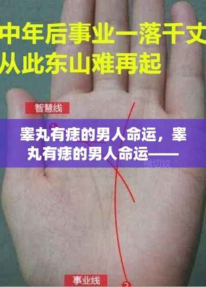 睾丸痣相与男性命运,痣相与人生轨迹的微妙联系揭秘