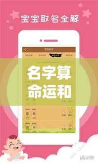揭秘名字中的命运与财运线索,预测未来走向的奥秘