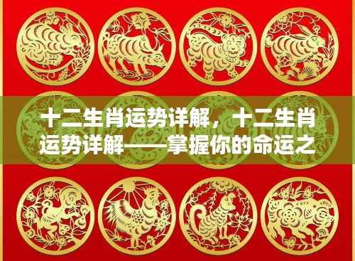 掌握命运之轮,十二生肖运势详解分析