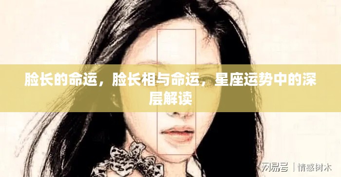 星座运势揭秘,脸型与命运之间的深层联系解读