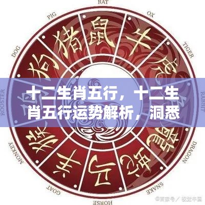 十二生肖五行运势深度解析,洞悉未来,把握人生轨迹