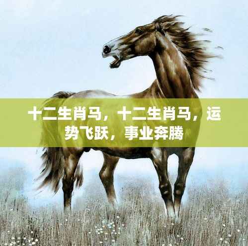 十二生肖马运势飞跃,事业奔腾不止