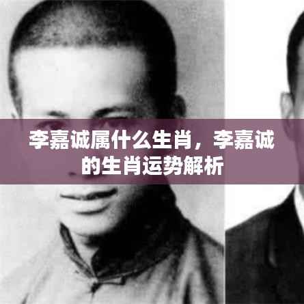 李嘉诚生肖运势解析,揭秘属相背后的成功秘诀