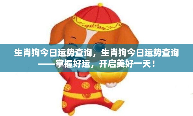 生肖狗今日运势详解,开启好运,活力满满的一天!