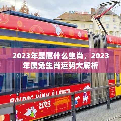 2023年属兔生肖运势全面解析