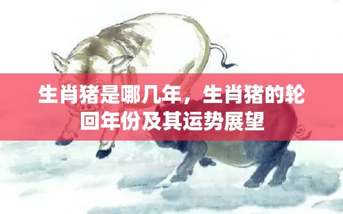 生肖猪的轮回年份及运势展望,猪年运势解析与生肖猪的轮回周期揭秘