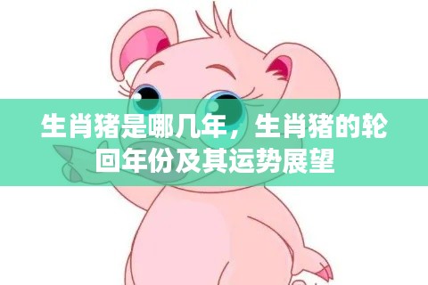 生肖猪的轮回年份及运势展望,猪年运势解析与生肖猪的轮回周期揭秘