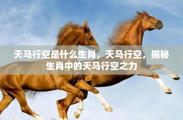 揭秘生肖天马行空的神秘力量,天马行空背后的生肖解读