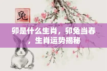 卯兔当春,生肖运势深度解析