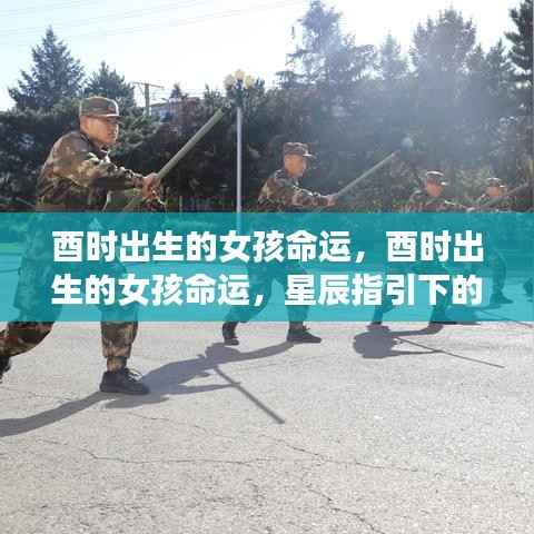 展翅高飞 第5页