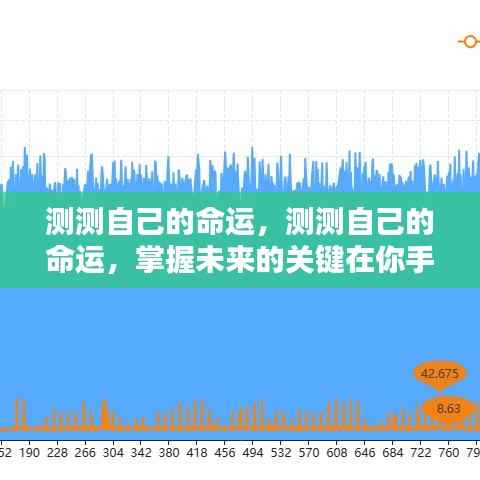 掌握命运之轮,自我测试揭示未来走向