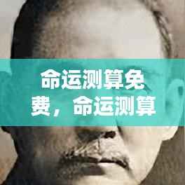 免费命运测算,揭秘未来走向,掌握命运之舵