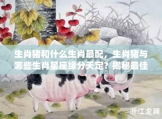 揭秘生肖猪的最佳配对组合,与哪些生肖星座缘分天定?