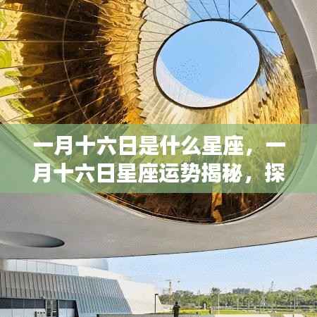 一月十六日星座运势揭秘,探寻属于你的星辰轨迹,掌握星座运势走向