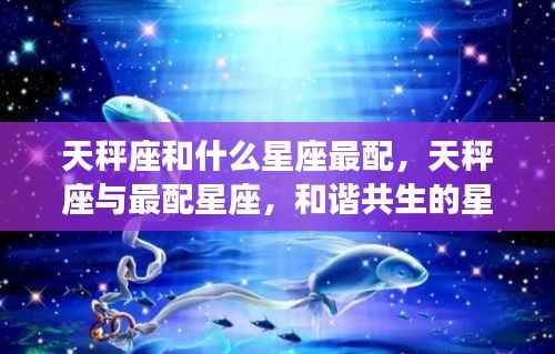 天秤座与最配星座的和谐共生魅力解析,星座组合解析与魅力展示