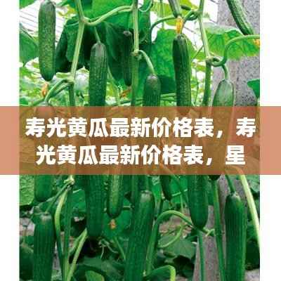 寿光黄瓜最新价格表,星座运势与农业经济的交织影响分析