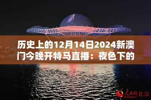 历史上的12月14日2024新澳门今晚开特马直播:夜色下的新澳门,另一种繁华