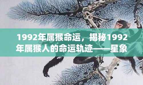 揭秘1992年属猴人的命运轨迹与未来展望,星象指引下的命运指引