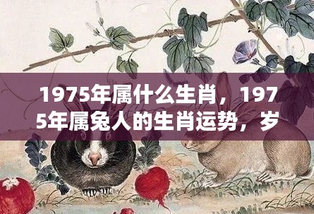 1975年属兔人的生肖运势,岁月静好,机遇与挑战并存