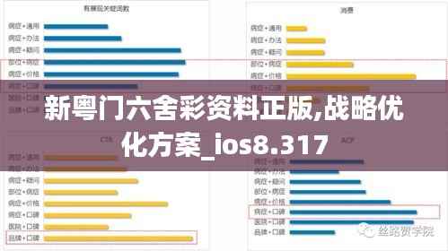 新粤门六舍彩资料正版,战略优化方案_ios8.317