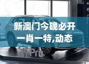 新澳门今晚必开一肖一特,动态分析解释定义_6DM8.479