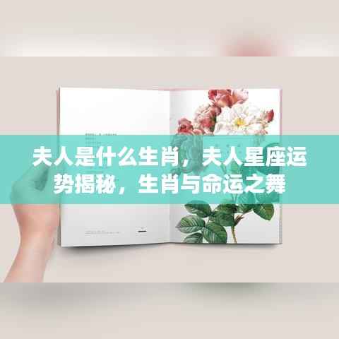 夫人星座与生肖运势揭秘,命运之舞与生肖的秘密
