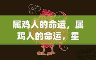 盖世英雄 第3页