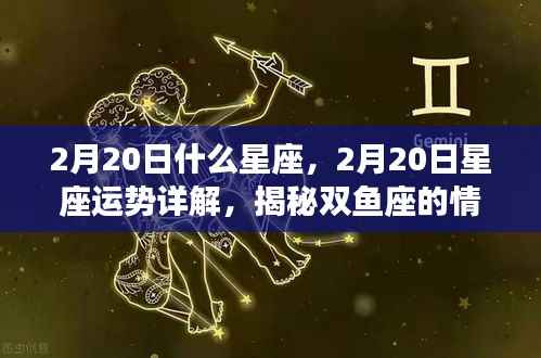揭秘双鱼座,情感与事业走向的星座运势详解(2月20日)