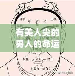 关于有美人尖的男人的命运,面相与命运的微妙联系探讨