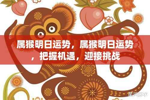 属猴明日运势展望,把握机遇,迎接挑战