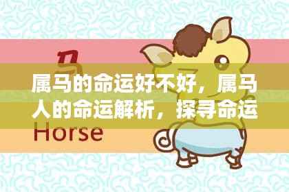 属马人的命运探寻，机遇与挑战并存的生命之旅