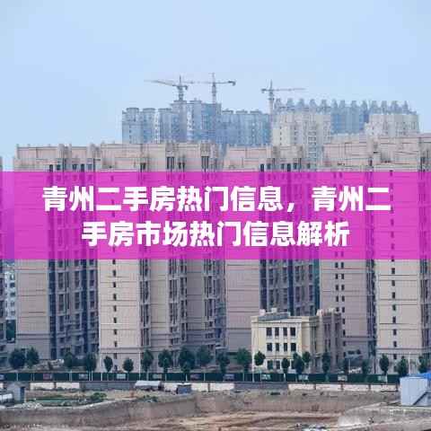 青州二手房市场深度解析,热门信息一览