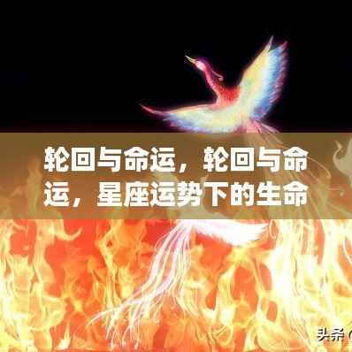 星座运势下的生命轨迹,轮回与命运的交织之路