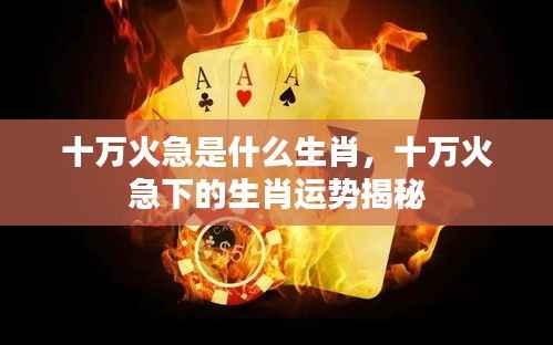 十万火急下的生肖运势揭秘,揭秘生肖与紧急情况的关联