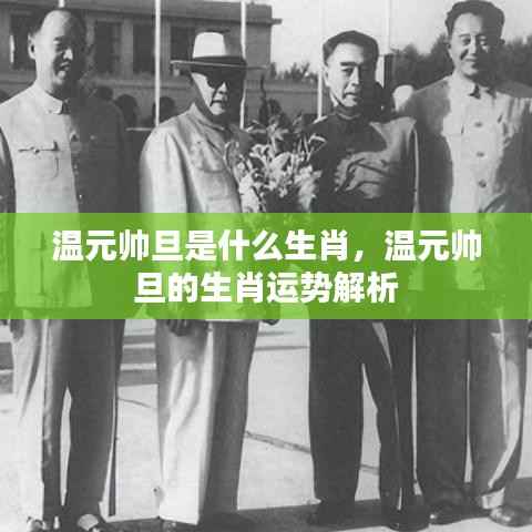 温元帅旦的生肖及运势解析