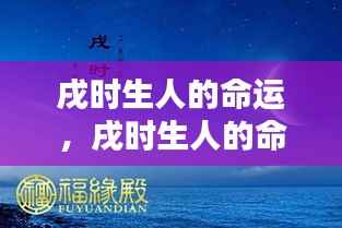 戌时生人的独特命运,星辰照耀下的命运轨迹