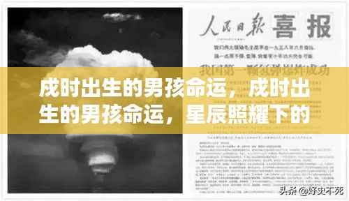 戍时出生男孩的命运解析,星辰照耀下的独特命运之路