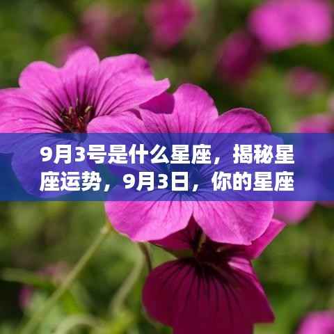 揭秘9月3号星座运势,你的星座运势走向如何?