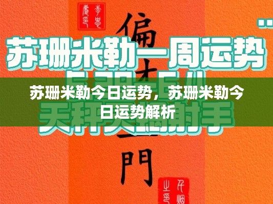 苏珊米勒今日运势深度解析