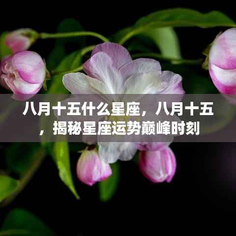八月十五星座揭秘,运势巅峰时刻探秘