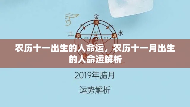 农历十一月出生的人命运详解