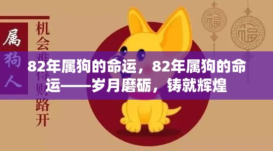 岁月磨砺下的辉煌,82年属狗的命运展望