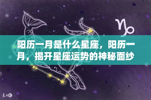 阳历一月星座揭秘,摩羯座独领风骚,揭开星座运势神秘面纱