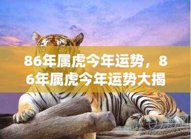 86年属虎人今年运势大揭秘及运势分析
