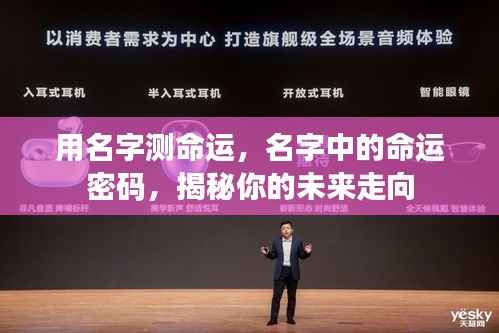 名字中的命运密码,揭示未来走向的奥秘