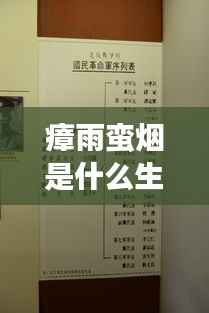 瘴雨蛮烟与生肖运势,神秘交织的运势解读探索