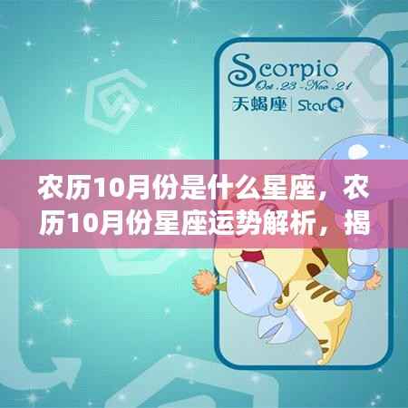 农历十月星座运势解析,揭秘天蝎与射手的神秘面纱